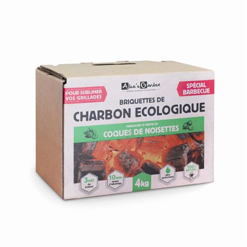Briquettes de charbon de coques de noisettes pour barbecues charbon 4kg