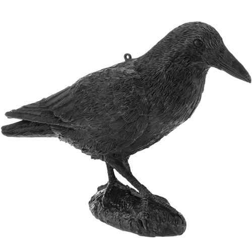 Répulsif à oiseaux type statue corbeau debout 16 x 45 cm