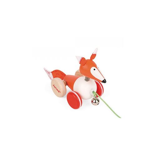 Renard a promener Zigolos