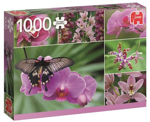 Jumbo PC Hollande Orchidées 1000 pièces de puzzle