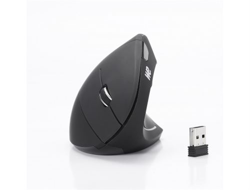 WE WESOURERGOSFIL souris Droitier RF sans fil 2400 DPI