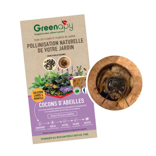 Comparer les prix de biotop - cocons d'abeilles pollinisatrices (x20-30 env)