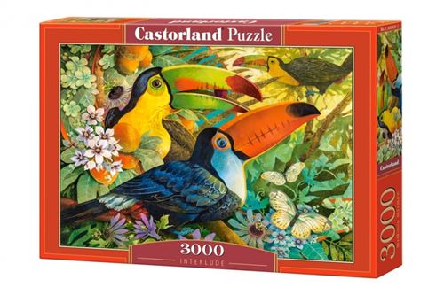 Puzzle 3000 Pièces : David Galchutt : Interlude, Castorland