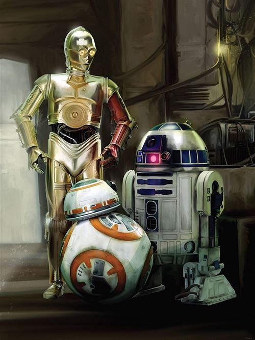 DELESTER DESIGN 2762VEA Star Wars Episode VII Le Réveil de la Force Papier Peint Intissé 2 Panneaux Multicolore 206 x 275 cm