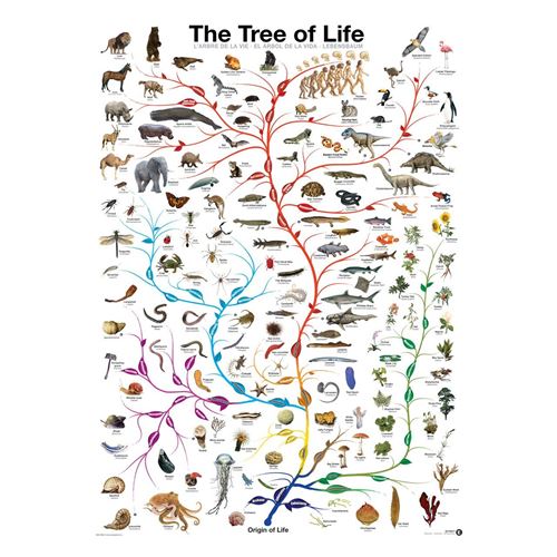 Eurographics The Tree of Life puzzle (1000 pièces)
