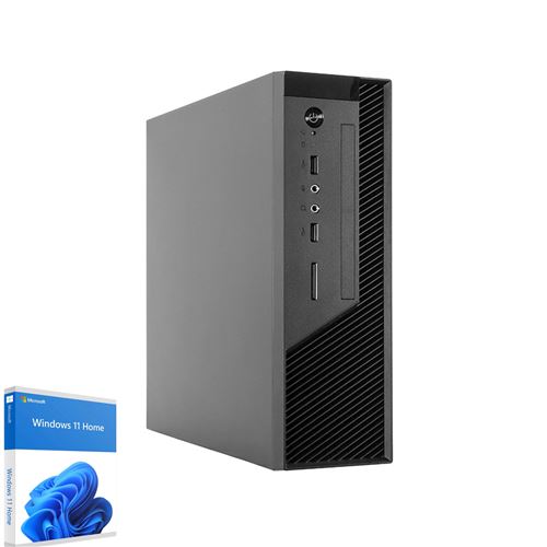 SEDATECH Mini-PC, AMD Ryzen 5 8500G, Radeon Vega, 16Go DDR5, 1To SSD, DVD, Win 11