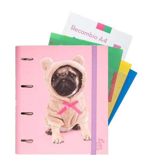 Carpeblock 4 Anneaux Studio Pets Dogs