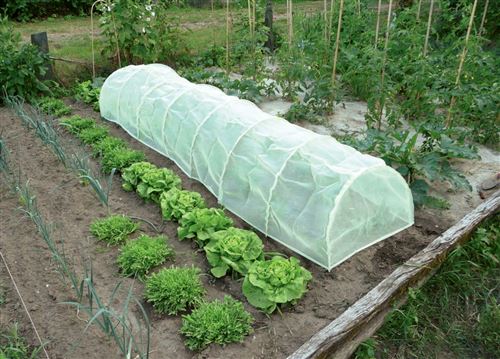 Nortene Jaune Tunnel Accordéon Avec Filet Anti-Insectes "Protect Tunnel" - 0,60 X 0,45 X 3 M - Image 1