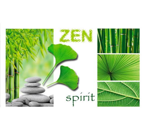 Set de table 28 x 44 cm opaque Niagara zen