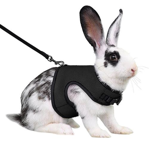 Meilleurs prix pour Harnais Lapins Cochons Petits Animaux Réglable Maille FONGWAN avec Laisse Élastique Gilet Souple, M - Noir