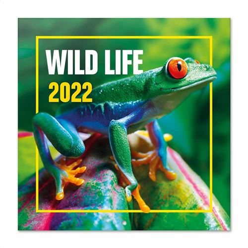 Calendrier 2022 30X30 Faune et flore