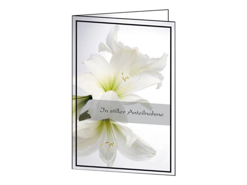 Sigel Funeral Cards DS006 - Brillant - blanc amaryllis - 170 x 230 mm - 220 g/m² - 10 carte(s) papier + enveloppe de carte de condoléances
