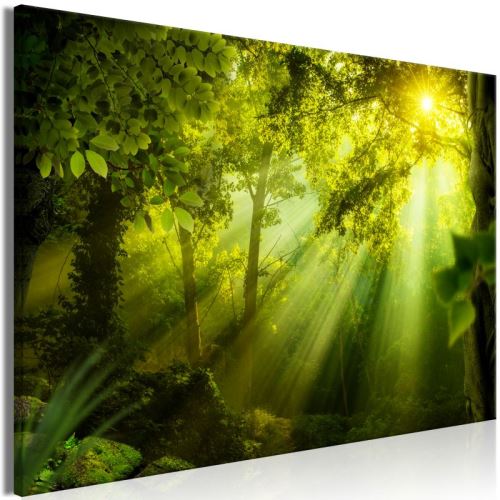 Tableau - In the Sunshine (1 Part) Wide .Taille : 120x80