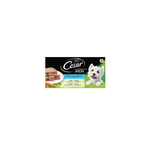 Cesar Barquettes En Terrine - 4 Varietes - Pour Chien Adulte - 4 X 300 G X4