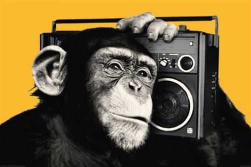 Singes Poster - Chimpanzé Avec Ghetto Blaster (61x91 cm)