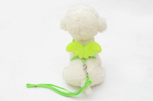 Comparer les prix de Ange mignon de chien Leads et colliers Set pour Rongeur Designer Wing réglable