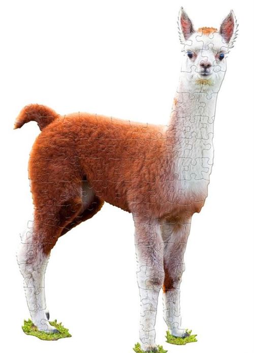 Madd Capp puzzle lama 56 x 84 cm carton brun 100 pièces