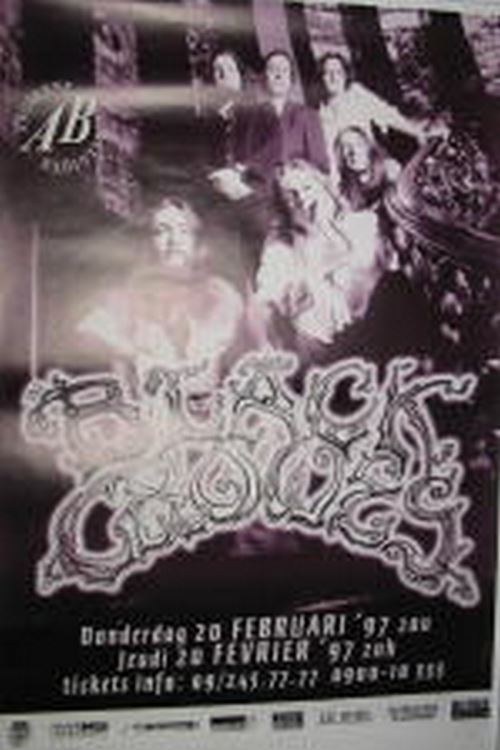 Black Crowes - 60x90 cm - AFFICHE / POSTER