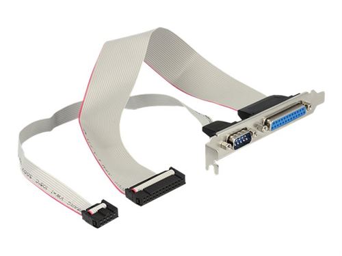 Delock - Panneau Série/Parallèle - Db-9, Db-25 Pour Idc 25 Broches, Idc 9 Broches (F) - 30 Cm