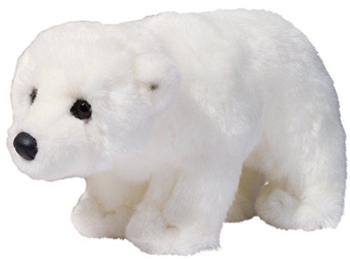Douglas Aput Polar Bear