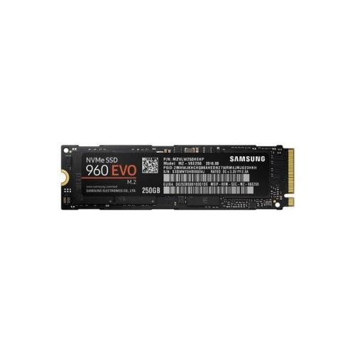 Samsung 960 EVO MZ-V6E250BW - Disque SSD - 250 Go - PCI Express 3.0 x4 (NVMe)