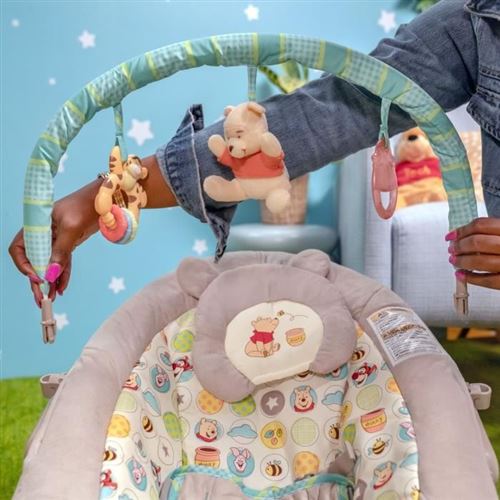 Disney Baby Winnie Lourson Transat Transats Pour Bebe Achat Prix Fnac