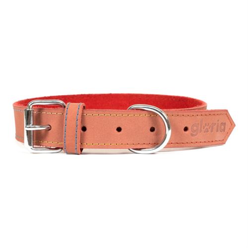 Comparer les prix de Collier pour Chien Gloria Oasis 70 3 cm Rouge