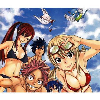 Poster Fairy Tail Guilde - 52x38cm - ABYstyle - Papier Laminé 170g/m² - Officiel