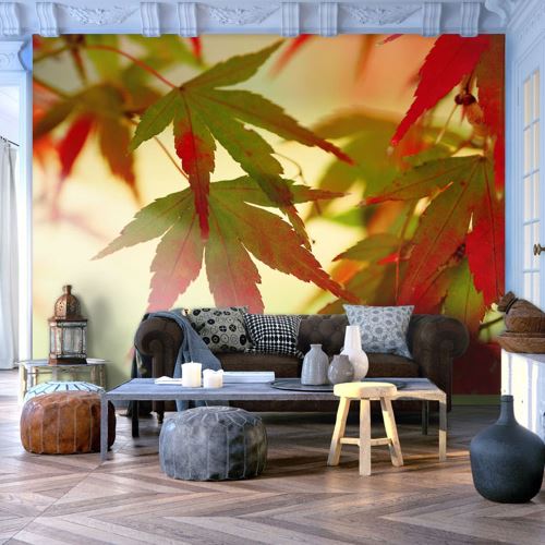 Papier peint - Feuilles colorées - Décoration, image, art | Paysages | Arbres et Forêt |