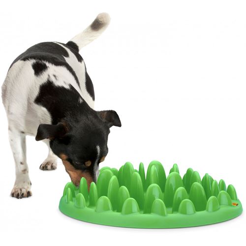 Gamelle Northmate plateau anti glouton pour chien 29x22,5x7,5 cm Vert