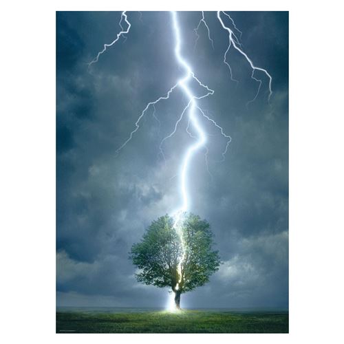 EurographicsPuzzles - Lightning Striking Tree I - puzzle - 1000 pièces