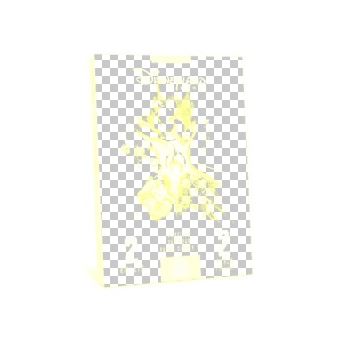 Disneyland paris 1 jour / 2 parcs - 1