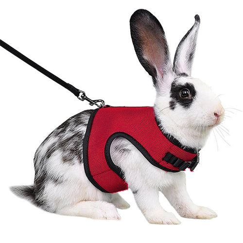 Meilleurs prix pour Harnais Lapins Cochons Petits Animaux Réglable Maille FONGWAN avec Laisse Élastique Gilet Souple, S - Rouge