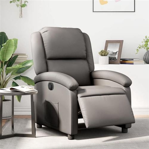 Non Communiqué Gris Vidaxl Fauteuil Réglable Électrique Echt Leer