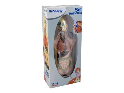 Miniland Educational - Ensemble d'anatomie