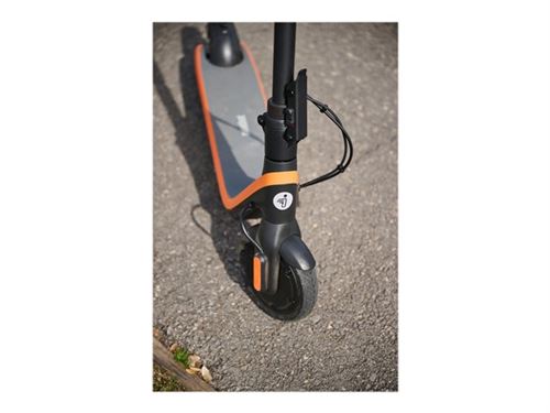 SEGWAY KickScooter C2 Pro E  Trottinette électrique pour enfants (905212)