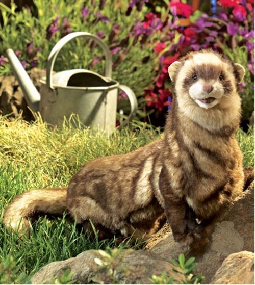 Peluche marionnette furet 63 cm de la marque Folkmanis