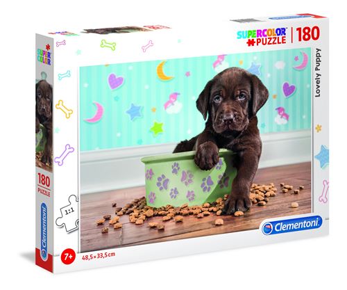 Chiot et ses croquettes- Photo