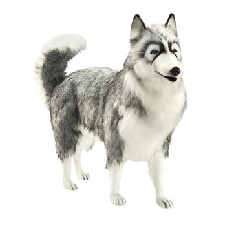 Grande peluche chien husky cheap