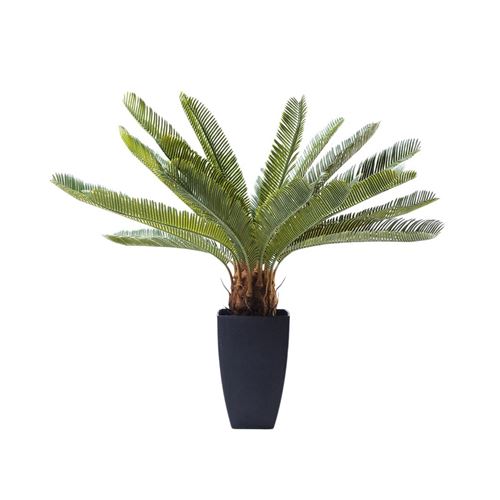 Plante décorative Cycas 78cm Kare Design
