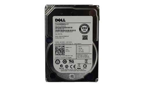 Seagate Constellation.2 ST9250610NS - Vaste schijf - 250 GB - intern - 2.5 - SATA 6Gb/s - 7200 tpm -buffer: 64 MB