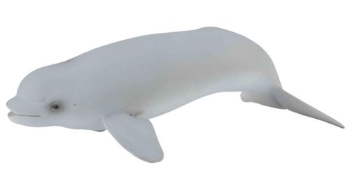 Collecta animaux marins : béluga veau 10 cm blanc