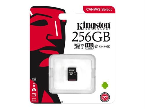 Kingston Canvas Select - Carte mémoire flash - 256 Go - UHS-I U1 / Class10  - microSDXC UHS-I - Carte mémoire SD - Achat & prix