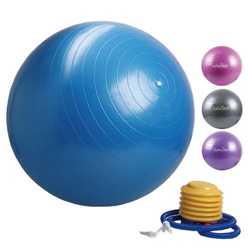 TownCat Ballon dexercice Ballon de Yoga Extra /épais (65cm) Ballon de Fitness Yoga /& Pilates Bureau de Ballon Assis Ballon d/équilibre avec Pompe /à air