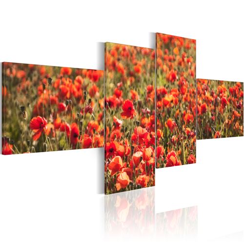 Tableau | Coquelicots partout ! | 100x45 | Fleurs | Coquelicots |