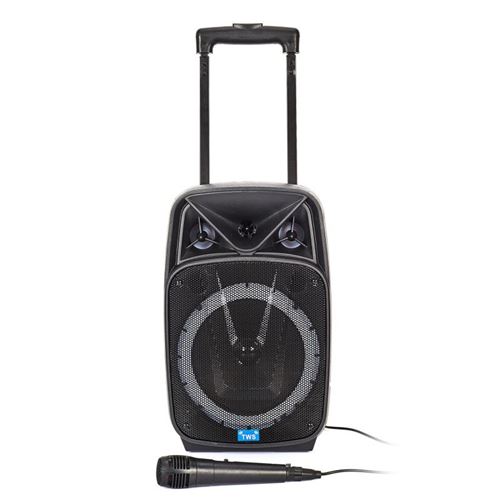 Enceintes, baffle et amplis DJ Madison Enceinte Karaoke Bluetooth USB sur  batterie TWS 600W MAD-NASH60 - 2 Micros sans-fil PARTY-200UHF Chanson  Soirée Fête Anniversaire