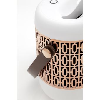 scentys diffuseur
