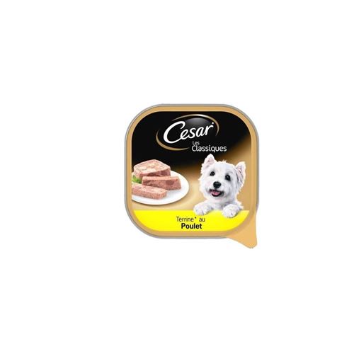 Cesar Barquette En Terrine Au Poulet - Pour Chien Adulte - 300 G X20
