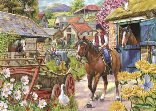 The House Of Puzzles Puzzle 1000 pièces - Stepping Out