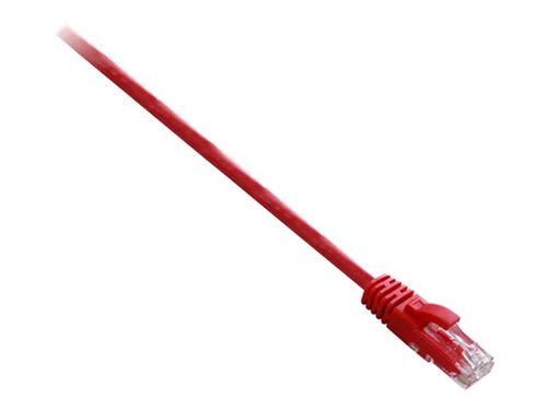V7 câble de réseau - 50 cm - rouge